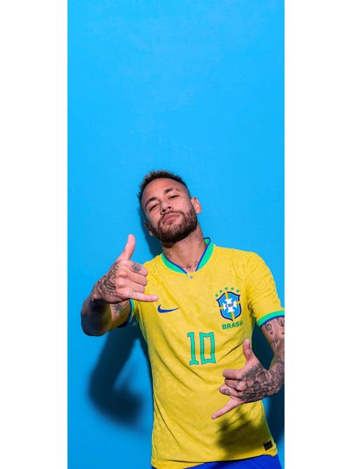 董路：足协准备在4个国家设置球员海外中心，类似鲁能巴西基地（董路：足协计划在四国设立海外球员中心，参照鲁能巴西基地）